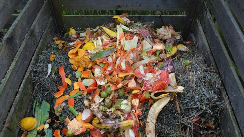 Compost, food waste