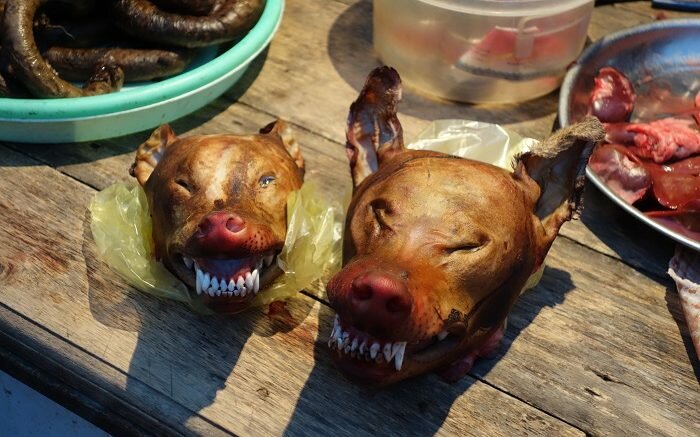 Dog meat