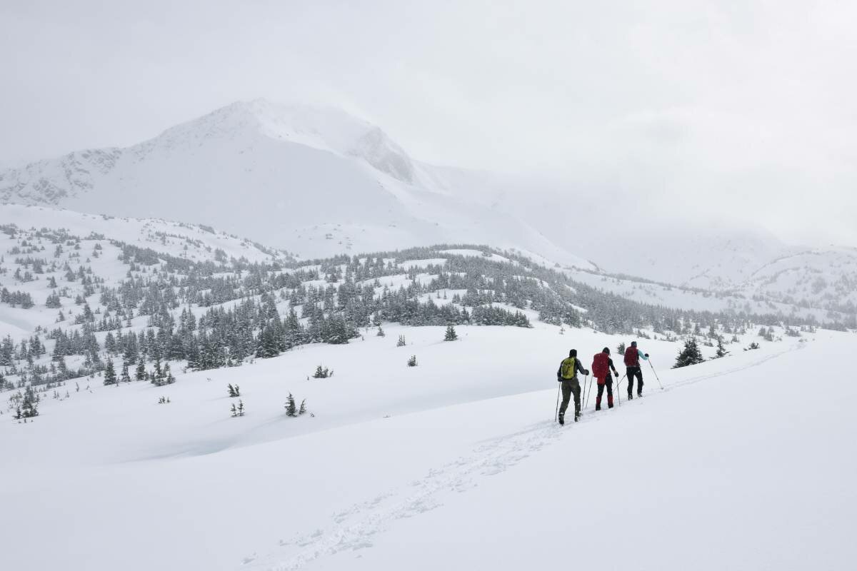 Three backcountry skiers