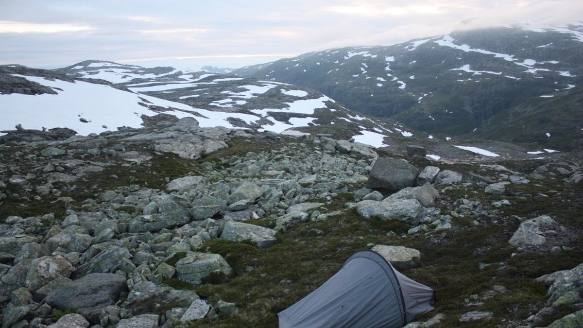 Allemannsretten in Norway: Your Right to Roam and its Limits