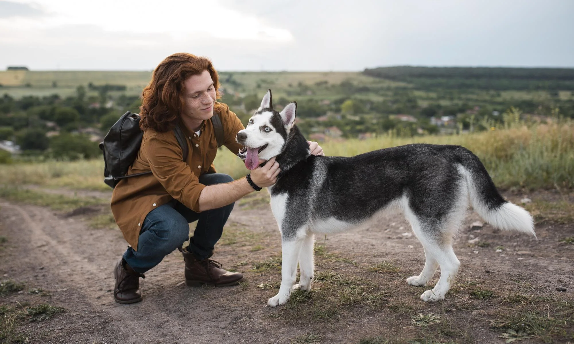 Pet Travel Laws in Norway