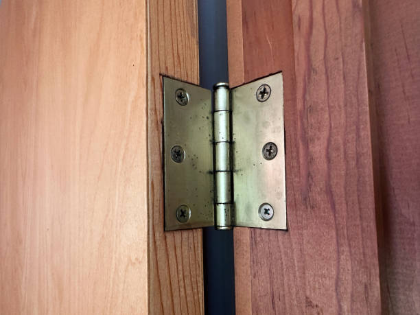 What Makes Stainless-Steel Hinges Heavy-Duty for Cleanrooms and Cold Chains