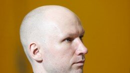 Breivik judgment evokes strong reactions
