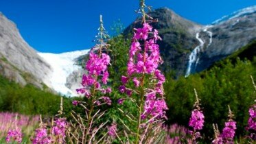The gateway to the glaciers