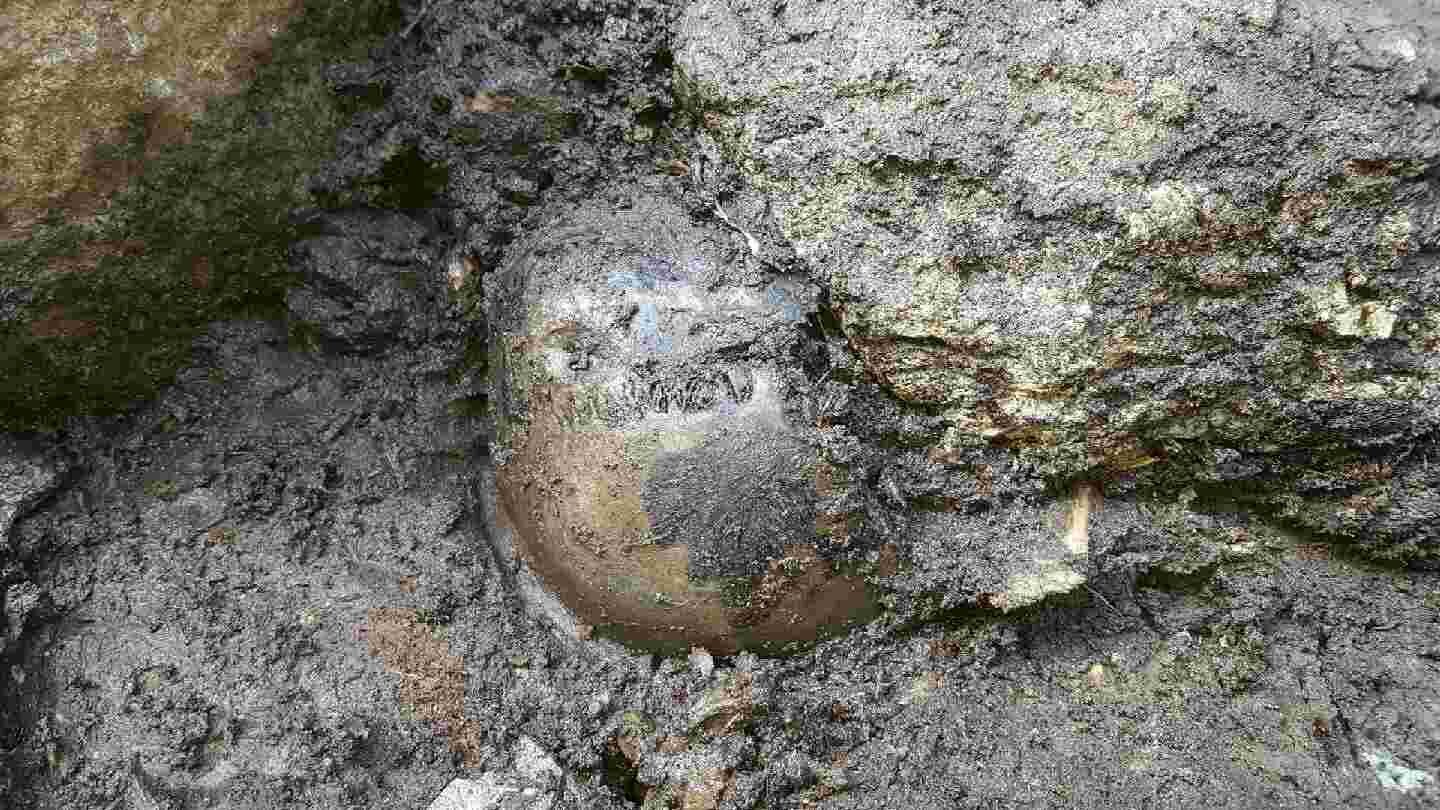 Archeologists have found the skull of Birkebeiner who died in 1197