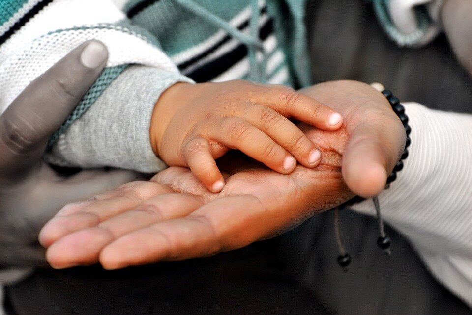 30 per cent of immigrants have refugee background