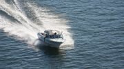 speedboat, road tax boat driver
