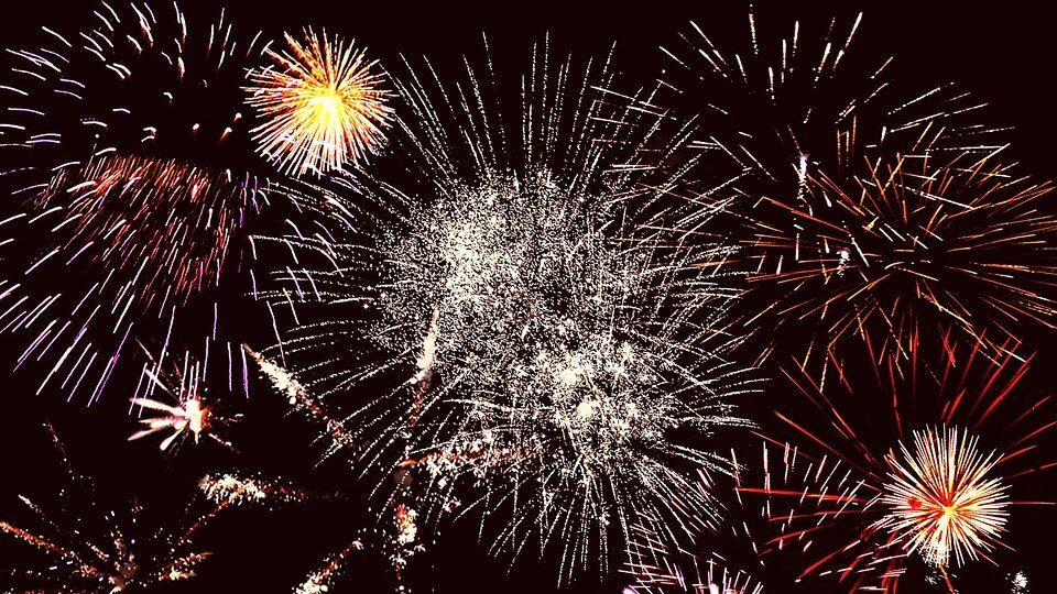 Prepare your pets for New Year celebrations