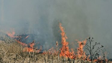 Grass fires and flood hazard in the north