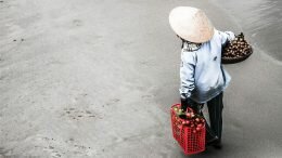 Farm Vietnam Human Trafficking