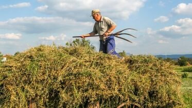 Farmers actions upsets the Conservatives