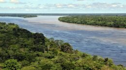 Brazil Amazon River, deforestation
