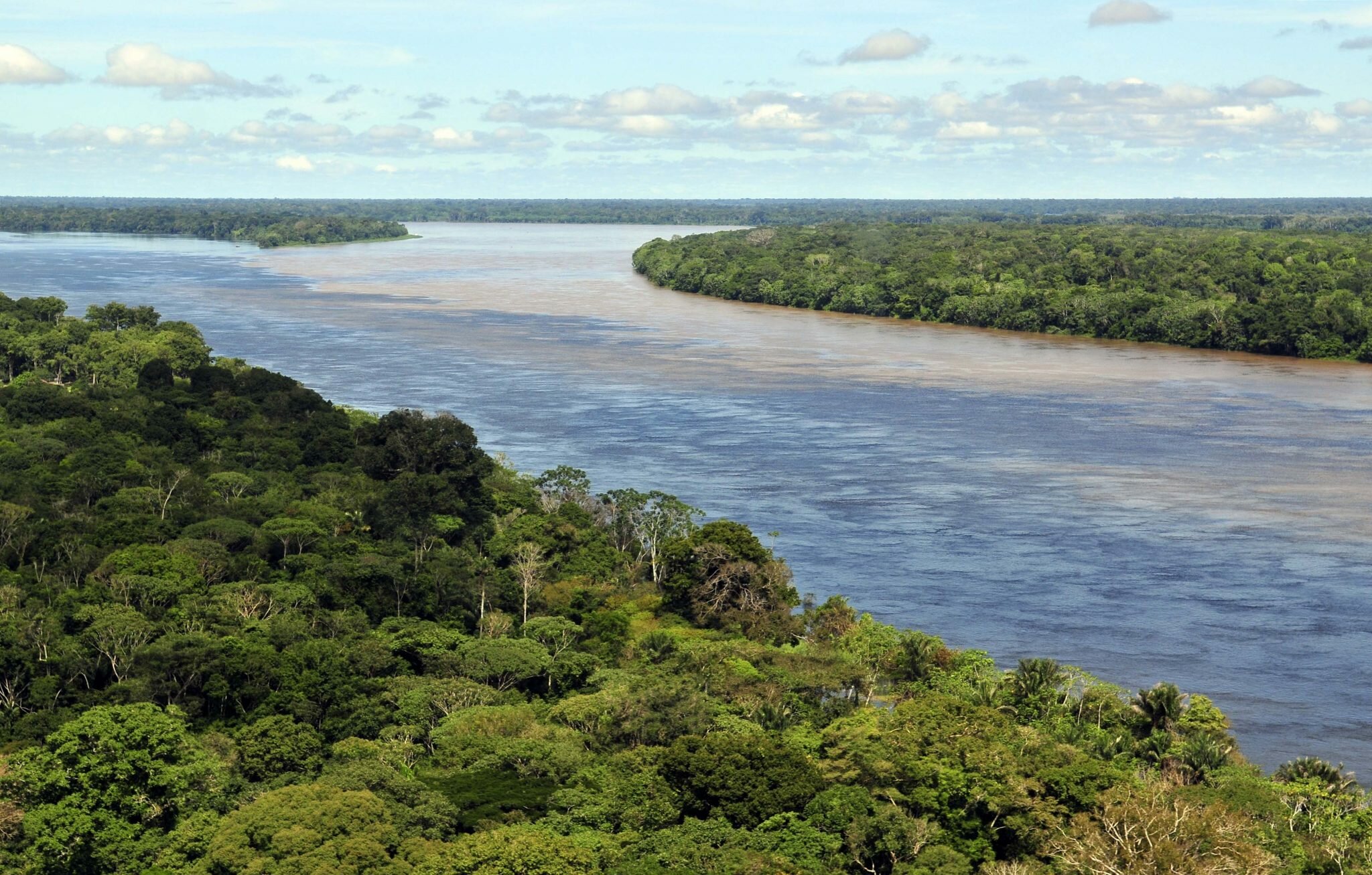 Powerful Norwegian rain forest warning to Brazil