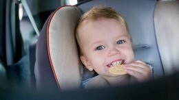Child Car Seat, Trygg Trafikk, children