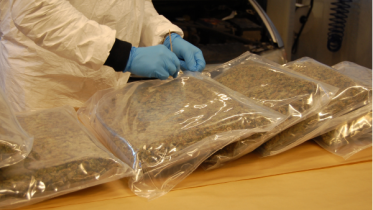 Record customs seizures in 2017