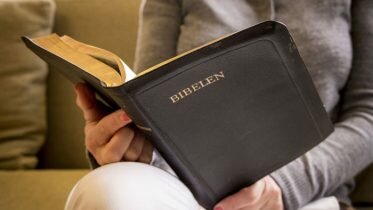 Christian Democrats wants mandatory school services