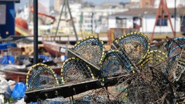Limitations in lobster fishery