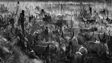 Superstar David Yarrow arrives in Norway