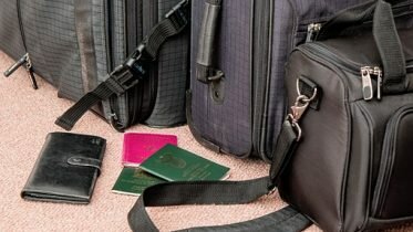 Document fraud to be handled by experts
