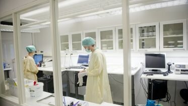Seven Norwegians infected by rare salmonella variant