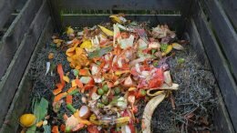 Compost, food waste