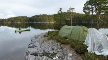 More people searching for the peace and quiet of nature