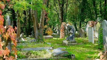 Oslo could get three new ways to be buried
