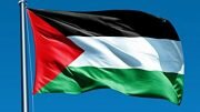Palestine Flag US Aid