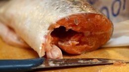 Salmon omega-3