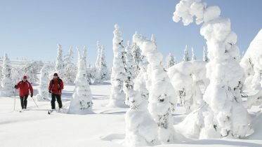 One in five goes on a winter holiday