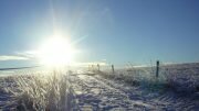 Winter sun Holmenkollen