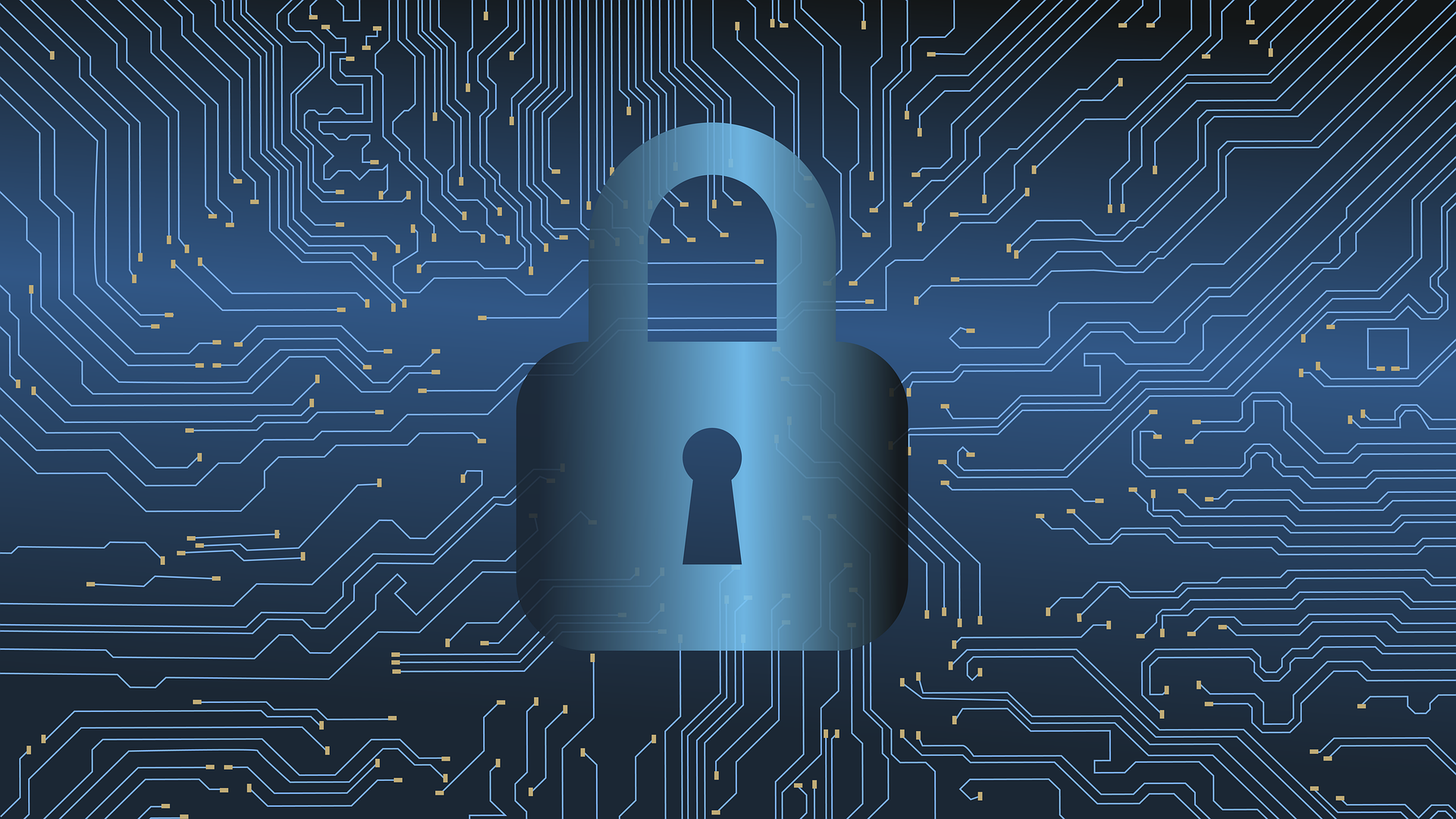 Cybercriminal spreading ransomware arrested