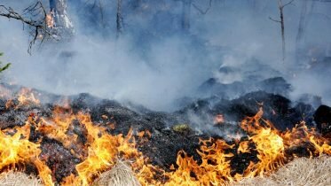 Fire hazard along the entire west coast
