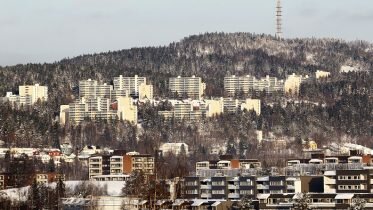 Oslo Rector sounds alarm on gang culture