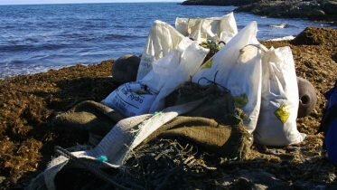 Tens of thousands ready for beach clean up