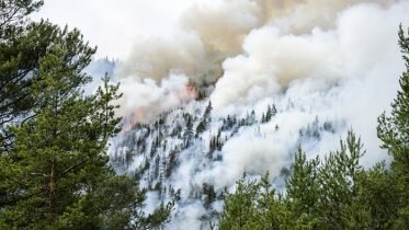 Large forest fire hazard in more areas in the country