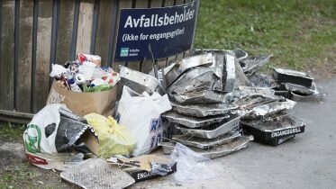 Several stores remove disposable barbecues from shelves