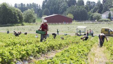 The Labour Inspectorate is alerting farmers and growers