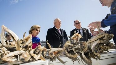 Cheer for the royal couple when they visited Røst