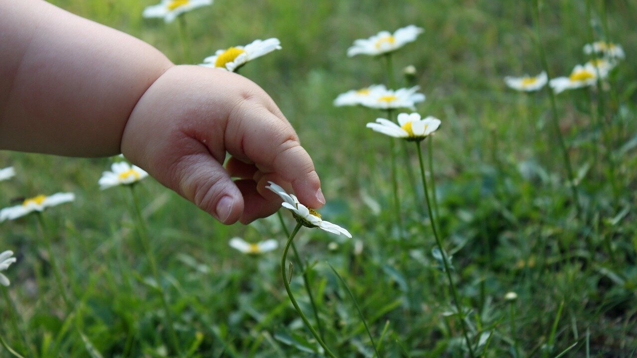 Norway supports new initiative to strengthen education for children with disabilities