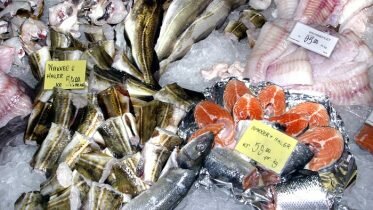 One third of world’s fish catch is discarded