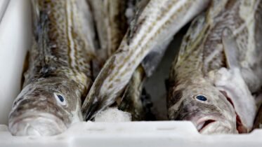 Norway to Fish U.K. Waters after Brexit