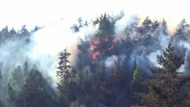 Fireman dies after extinguishing forest fire in Akershus