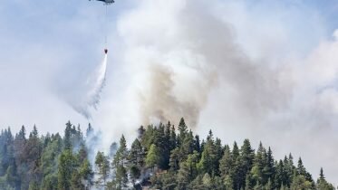 Forest fires are increasing in parts of southern Norway