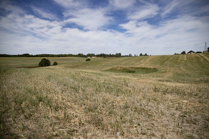 This year’s dry summer could be worse than 1947 drought