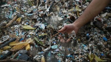 Marine Plastic Pollution – a huge problem