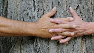 Religion important for partner choices for both native Norwegians and Norwegian immigrants