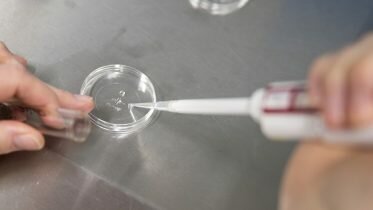 Artificial insemination increasing dramatically