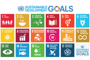 UN Sustainability goals Nordic
