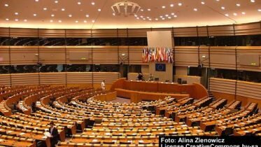 No vetting of interpreters in violence cases